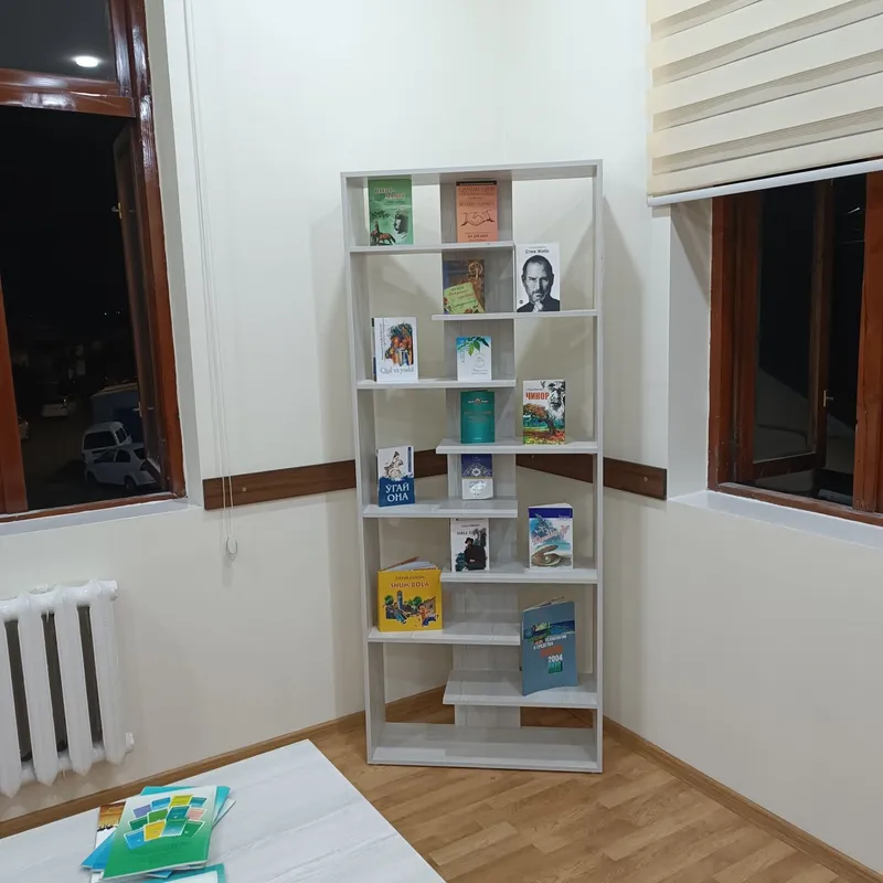 Книжный шкаф полка для кино 1 Книжный шкаф полка для кино 1