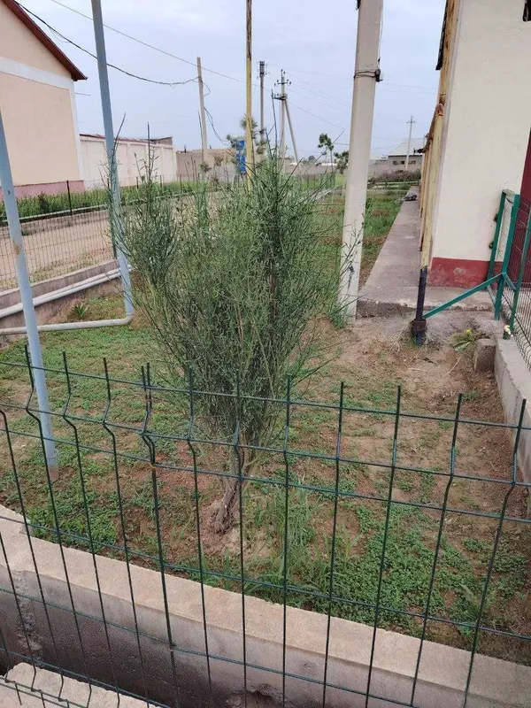 6 sotixli katej sotiladi 6 6 sotixli katej sotiladi 6