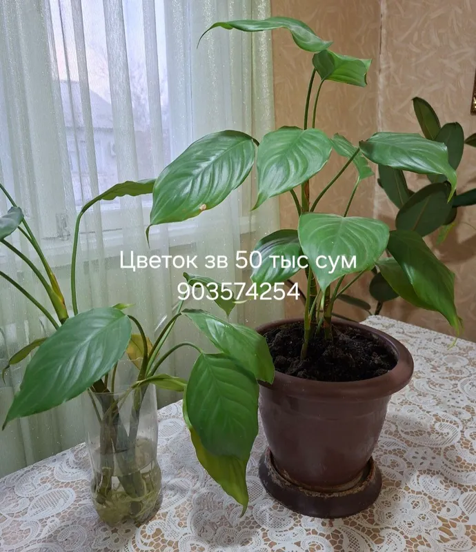 Новогодний декор — фото 2