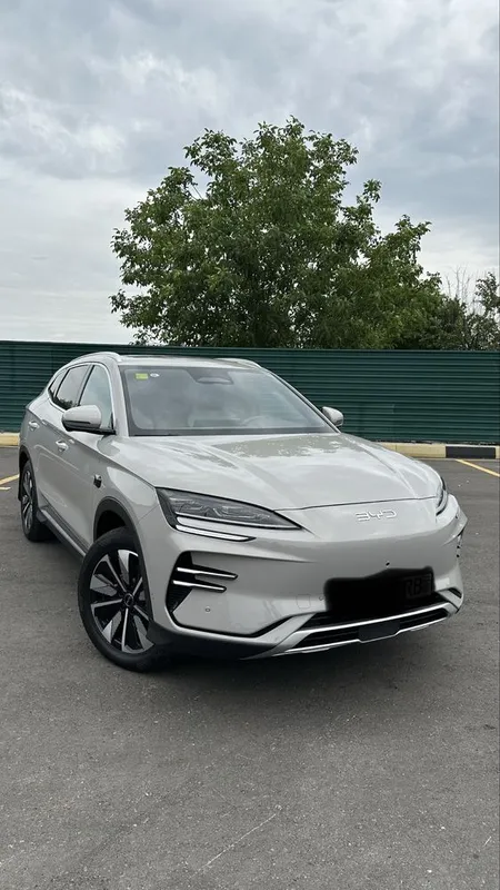 Byd chemion smart