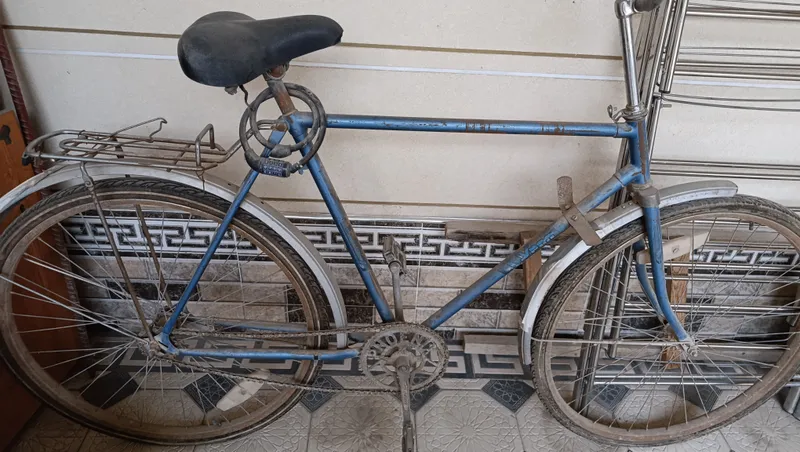 velosiped velosiped
