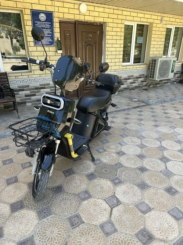 Skuter Lemuzin electro Ridex 2