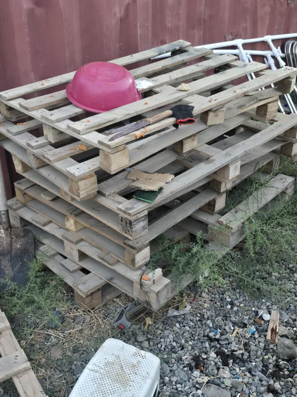 Poddon sotiladi holati yaxshi 100 tacha bor 2 Poddon sotiladi holati yaxshi 100 tacha bor 2