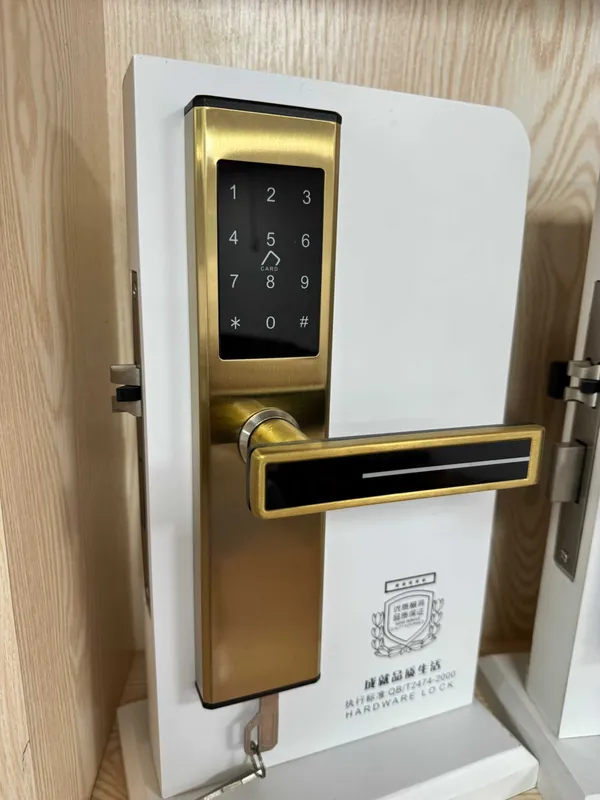 TT lock Электронный замок с пультом