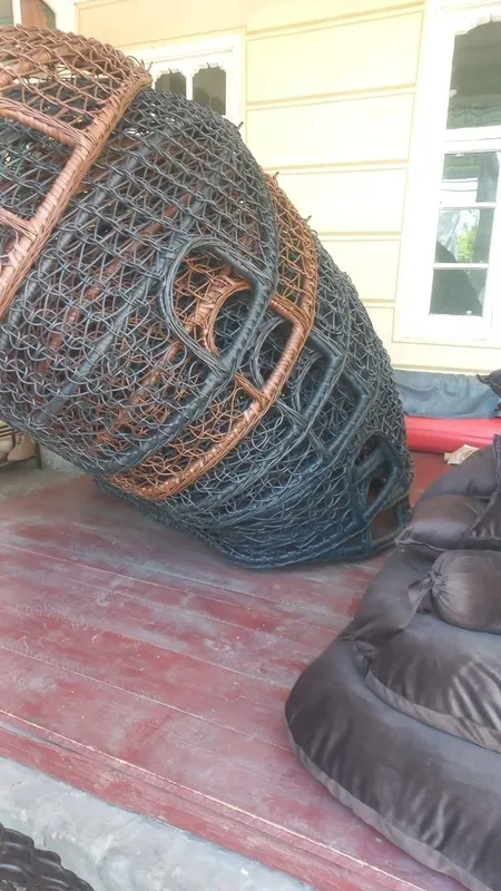 Ratan kachela olami eng arzonarxlar tayyorlab yetkazib — фото 2