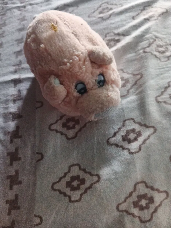 хрюшка