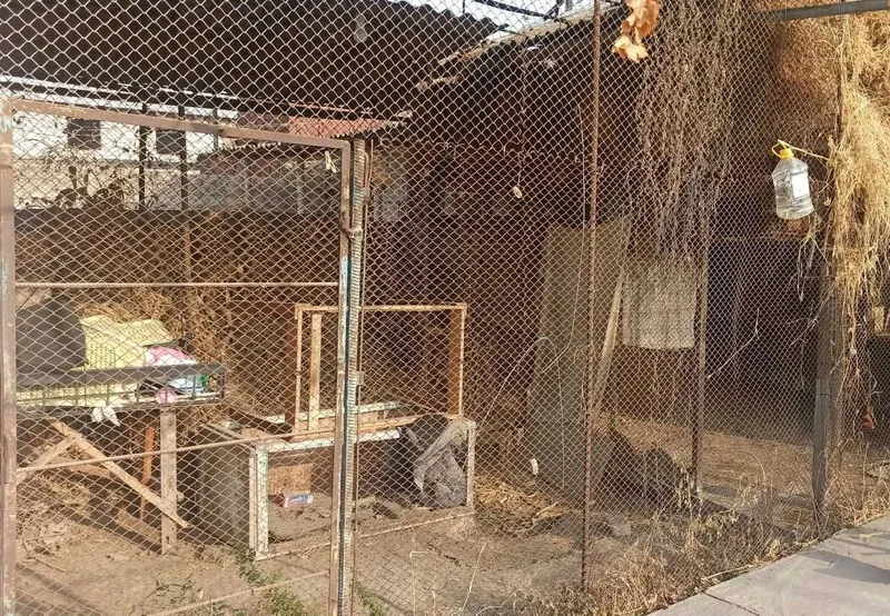 Продается дом в области — фото 3