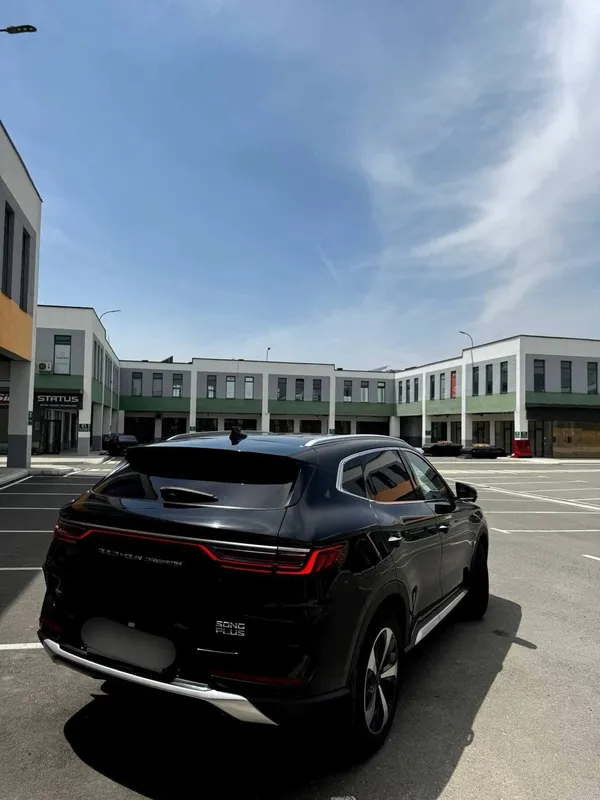 Song plus naqtga — фото 5