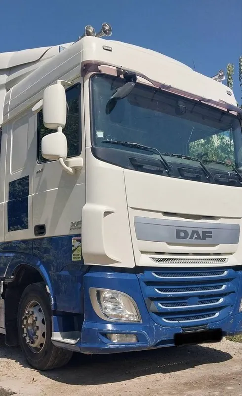 Daf euro 6 460 standart — фото 7