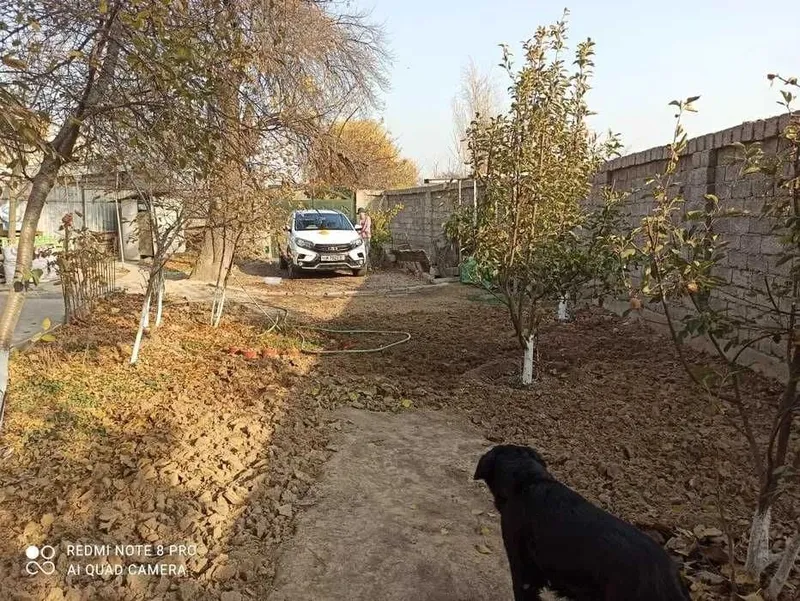 Срочно сдается дом 3 комнаты,2 сотки. Чоштепа — фото 4
