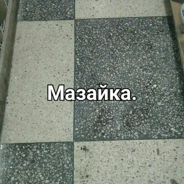 Mazayka sitayachka