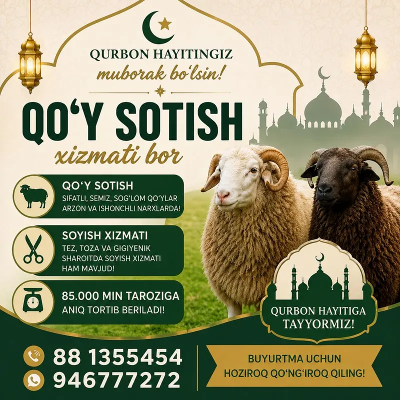 Qoy sotiladi 85.000 min taroziga