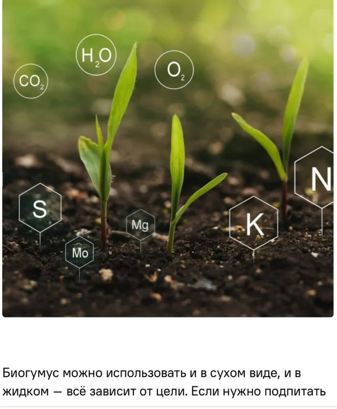 Чернозем Биогомус Универсал Оптом Продажа