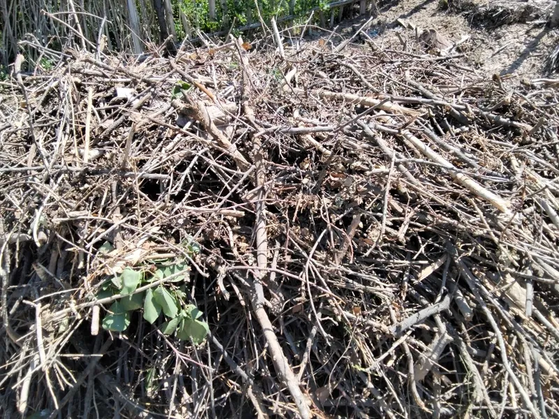 отын сатылады, цена договорная 2 отын сатылады, цена договорная 2