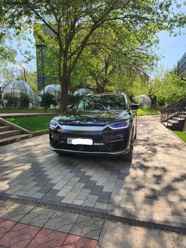 BYD Champion 605, 2024 йил