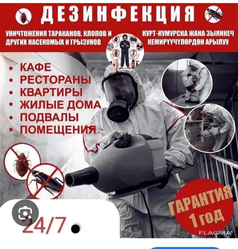 Дезинфекция Профессиональная 24/7. 94,072,72,29, — фото 5