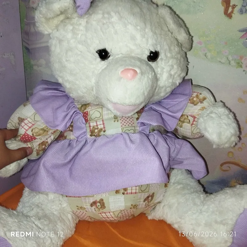 kotta ayiq