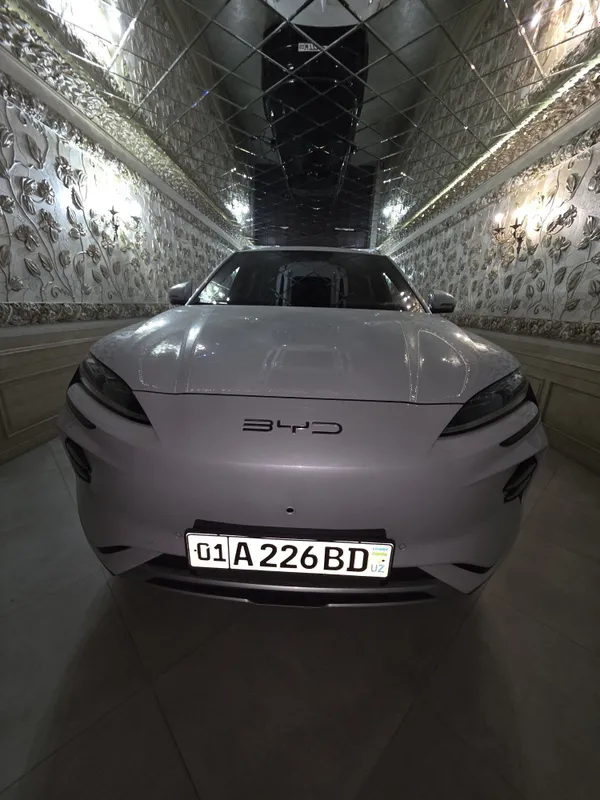 BYD чемпион 2024 йил