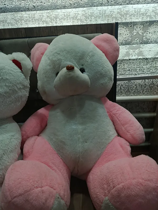 teddy