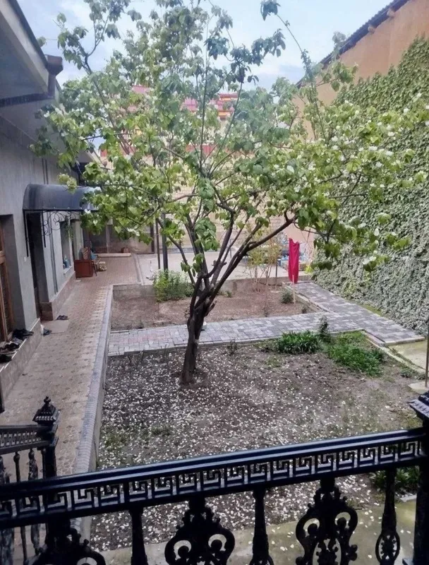 Taravmatalogiya yangiravot 4sotixli hovli sotiladi