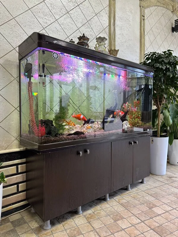 Akvarium sotiladi 1