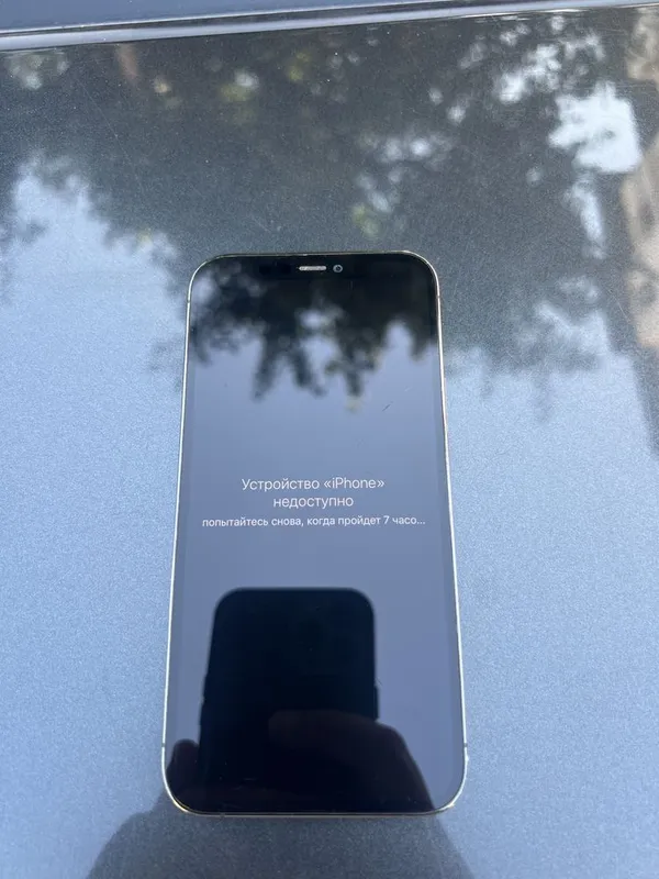 iPhone 12 Pro 256gb Заблокирован icloud тушкан 2 iPhone 12 Pro 256gb Заблокирован icloud тушкан 2