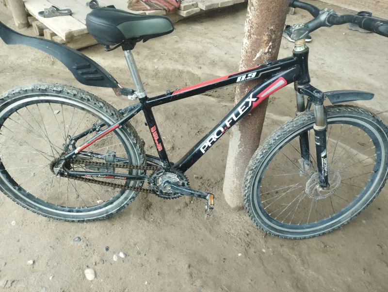 Velasiped kelishiladi