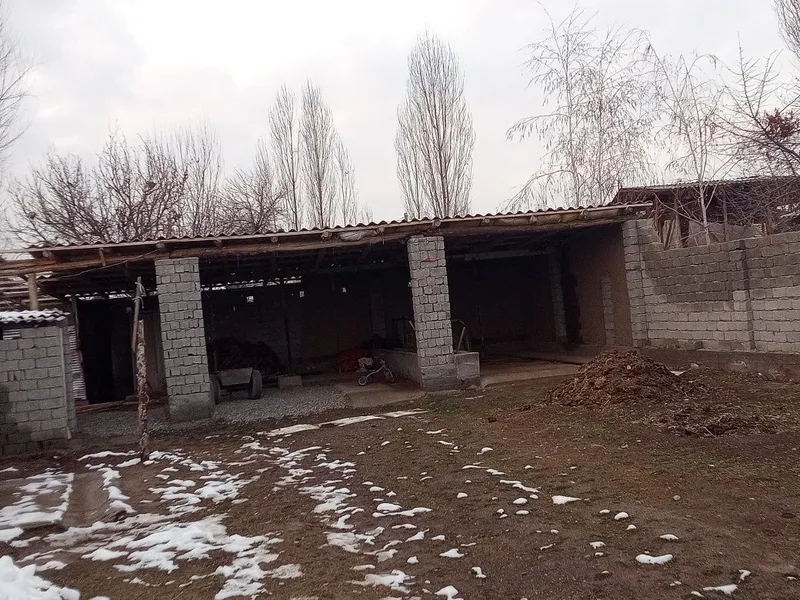 жумабазар аул шукрана кошесы 19 уи uy sotiladi 3 xona zabor bilan ora — фото 2