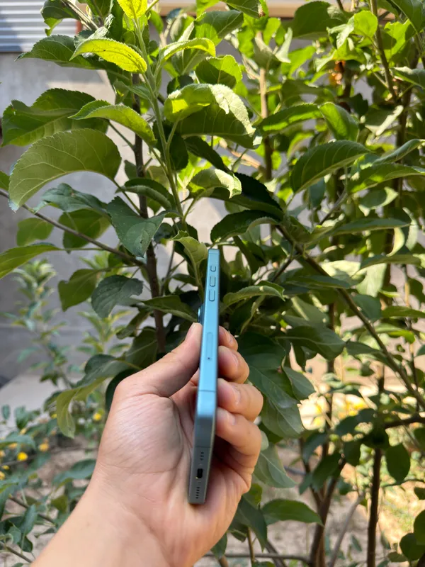 Iphone 16 ozi sotiladi 6