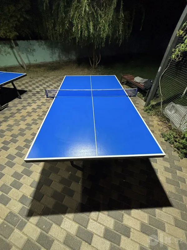 Настольный теннис Ping Pong 1 Настольный теннис Ping Pong 1