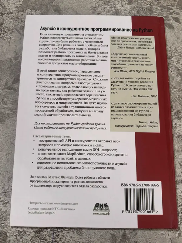 Asyncio и конкурентное программирование на Python - Меттью Фаулер — фото 1