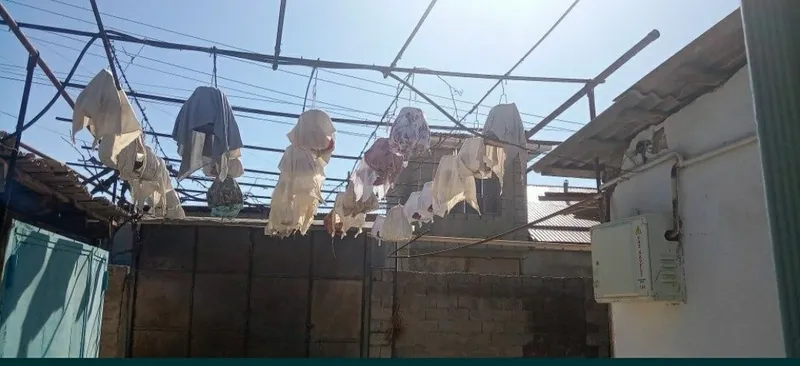 Bedana Sotiladi sayroqi 50-60 ta bor — фото 2