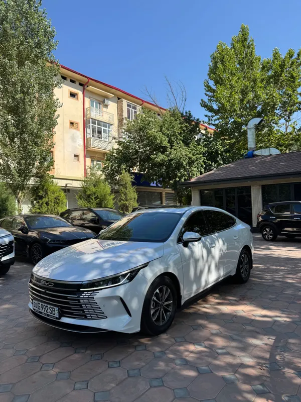 BYD Chazor 55 km 1 BYD Chazor 55 km 1