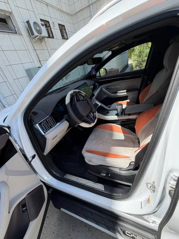 Byd Champion smart 605km — фото 3