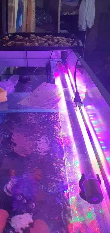 Akvarumniy 5hil led lampa idishlari bilan tayyor maydaro 2ta diskusga.