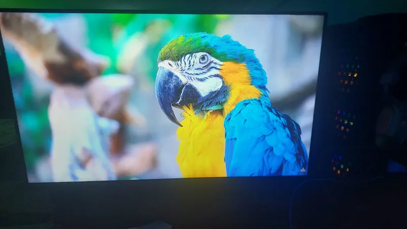 MSI 27 Gaming Monitor Sotiladi 6