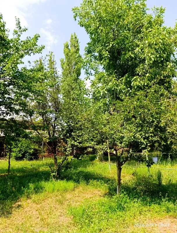 Продажа земельного участка 1 Продажа земельного участка 1