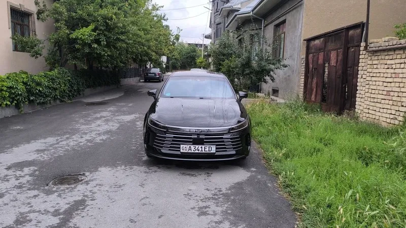 2023 хитой зиборка