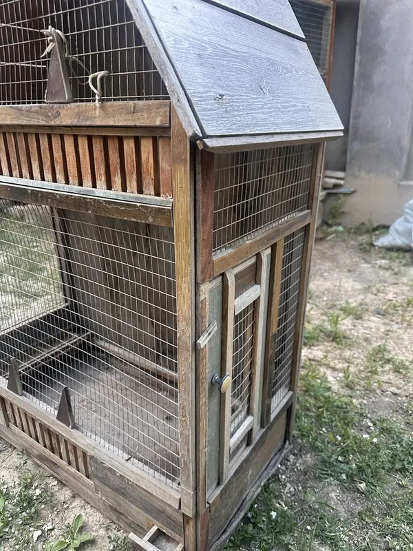 To’ti va yapon tovuq uchun sifatlik katak 3 To’ti va yapon tovuq uchun sifatlik katak 3