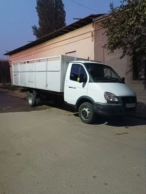 Газел хизмати бор 5