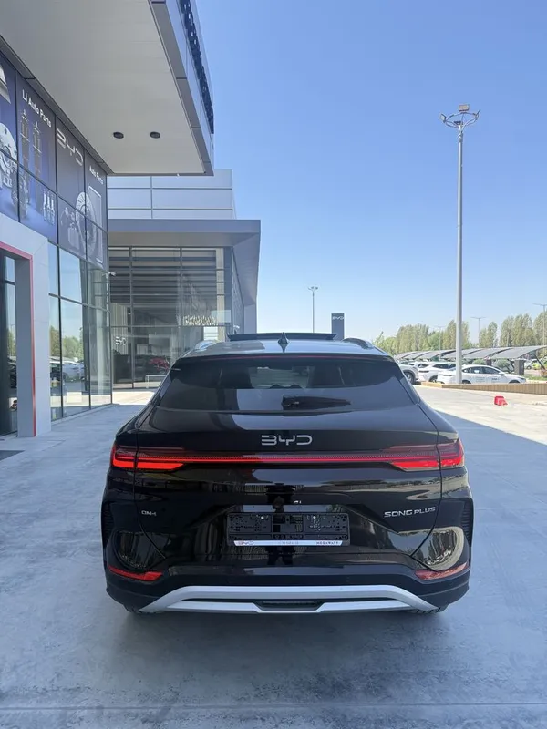 byd champion все цвета 2026 год 7 byd champion все цвета 2026 год 7