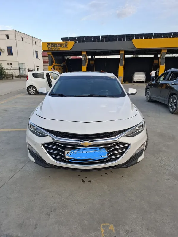 Malibu premier holati yaxwi