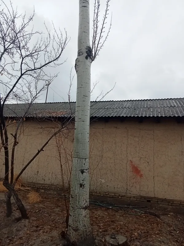BAQATERAK