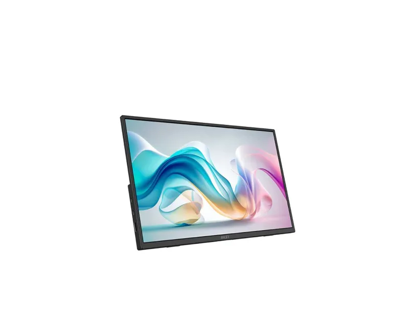 ' Портативный монитор 15.6" MSI PRO MP165 E6 (FullHD, IPS, USB-C) — фото 1