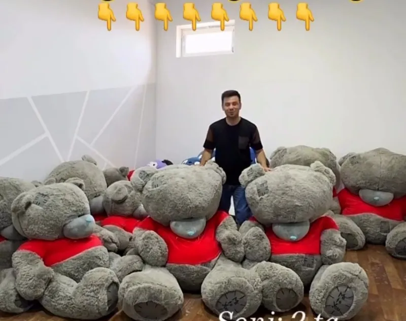 Teddy Ayiq Stich Teddi