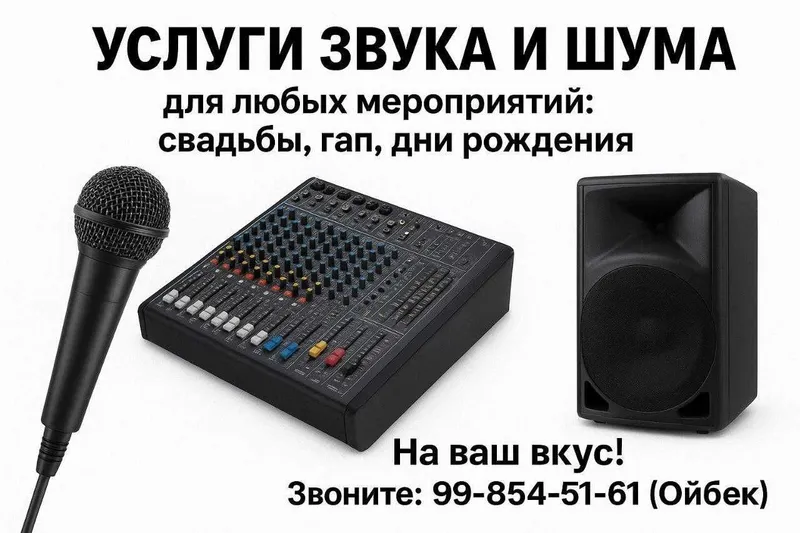 Услуги звука и шума усилителей для различных праздников Услуги звука и шума усилителей для различных праздников