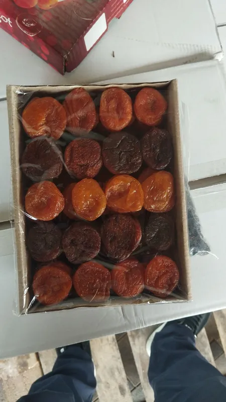 Oybek 707 Eksfort Uz