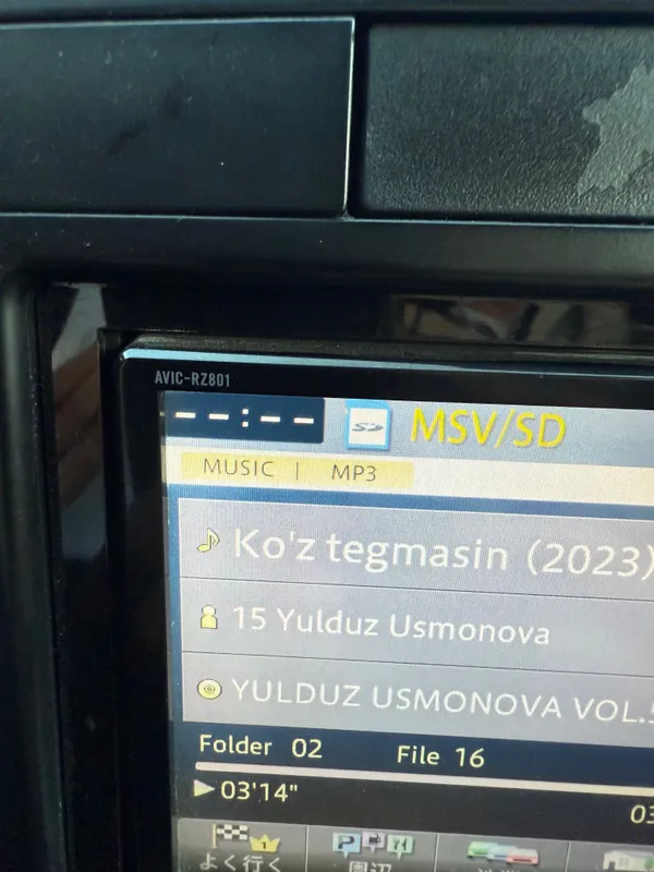 Pioneer corrozeria 2