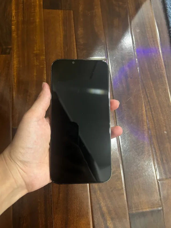 iPhone 13 pro max