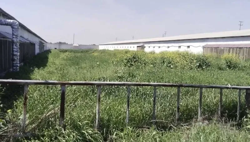 Продаются 2 фермы в Юкори-Чирчикском районе 2,2 га и 1,02 га — фото 2